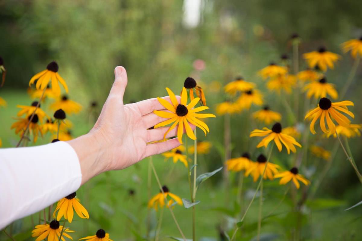 Isabel Friedl - Heilpraxis Rückhalt - Hand-Blume